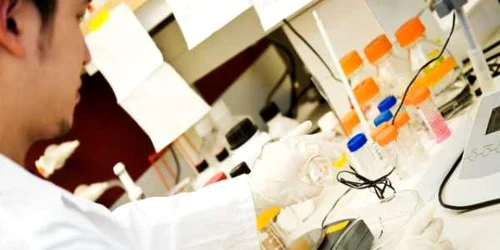 Proteina inhibă multiplicarea virusului